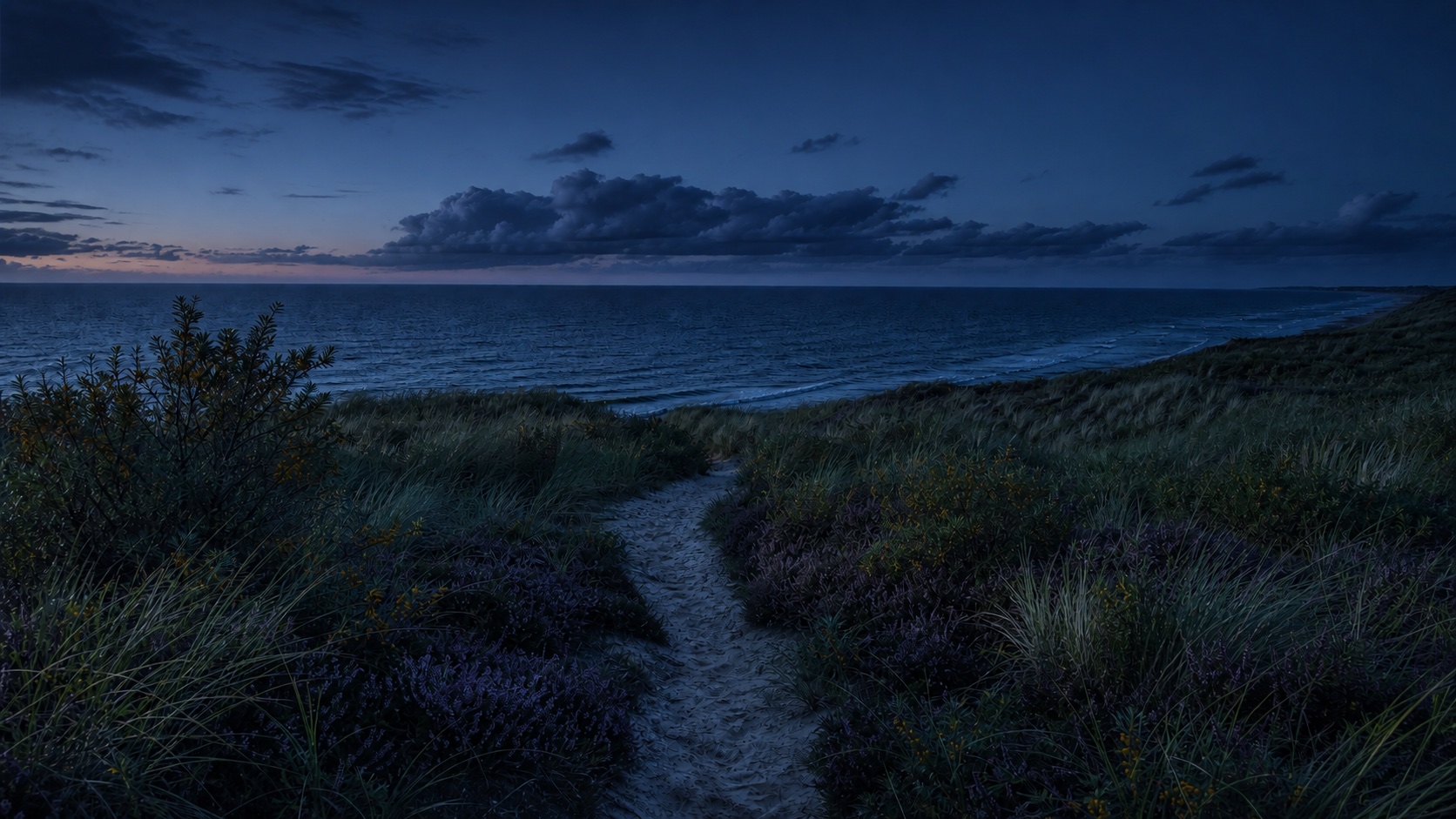 Skagen Light dark mode wallpaper 5