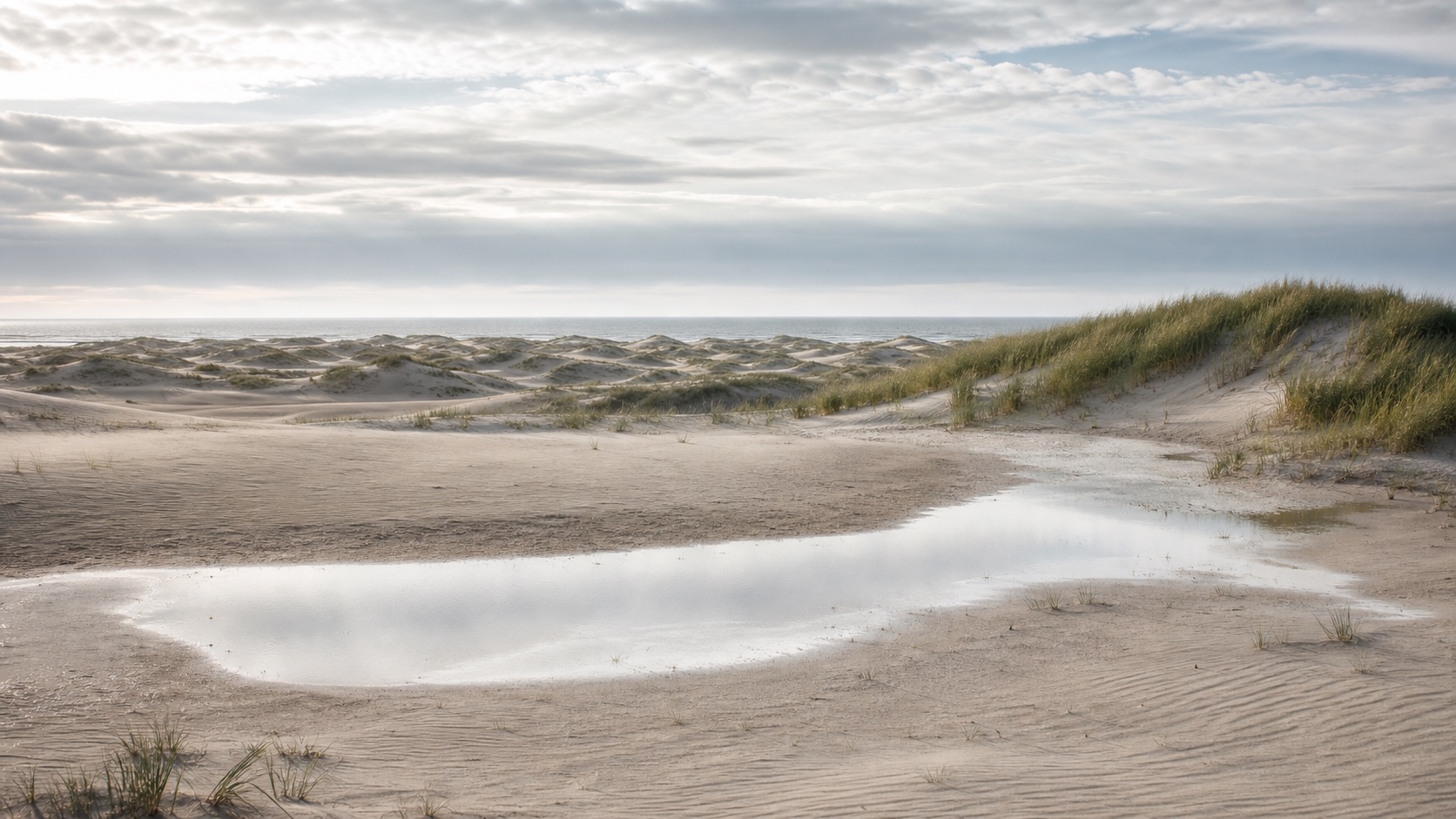 Skagen Light light mode wallpaper 2