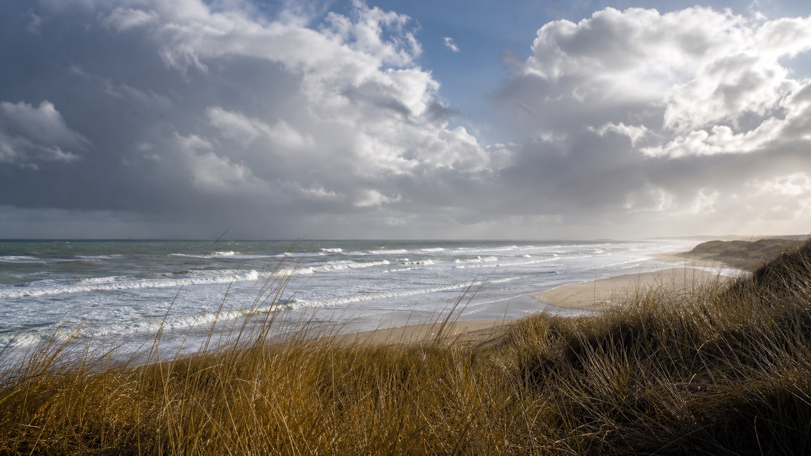 Skagen Light light mode wallpaper 4