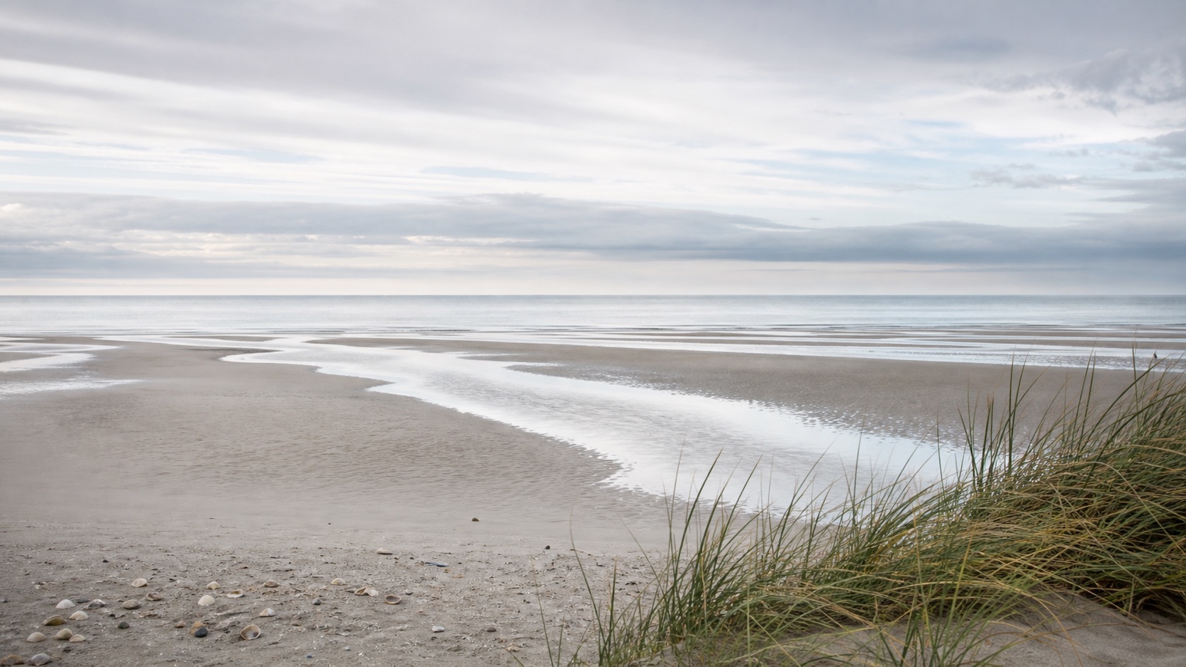 Skagen Light light mode wallpaper 6